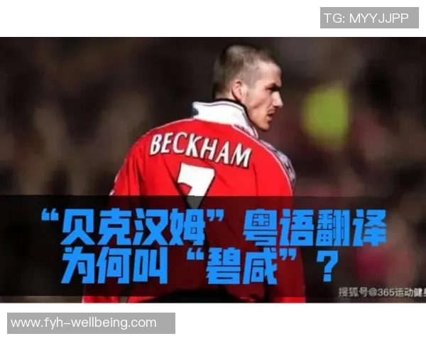 粤语翻译足球明星名字的趣味探索与文化交流之旅